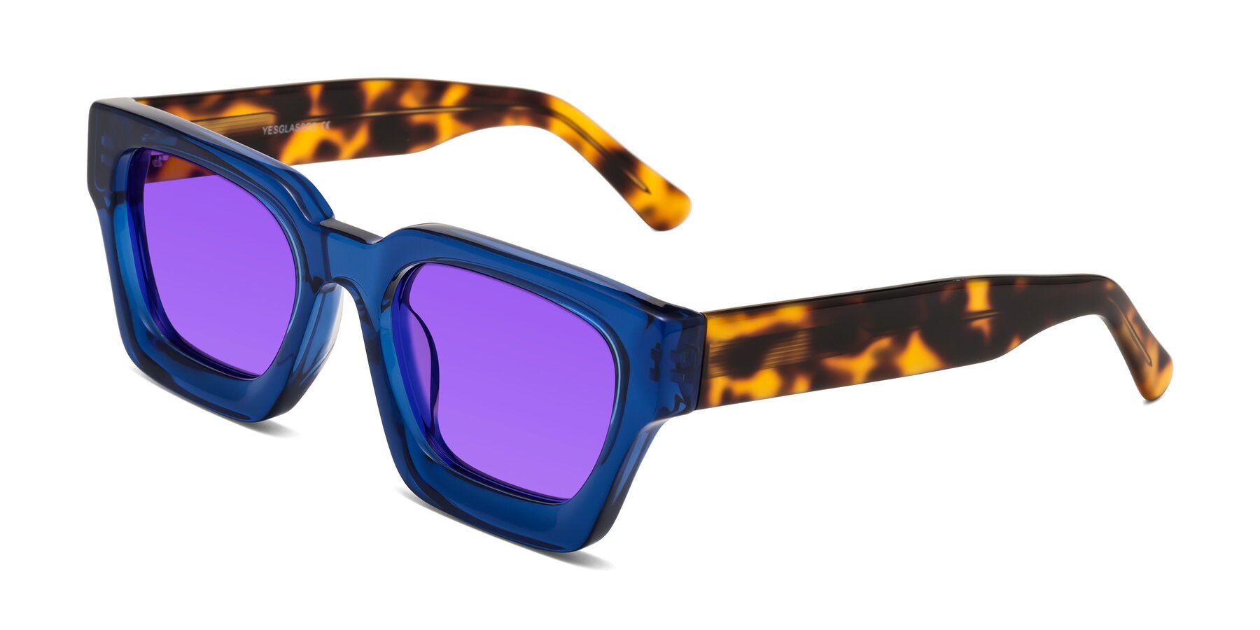 Angle of Powers in Blue-Tortoise with Purple Tinted Lenses