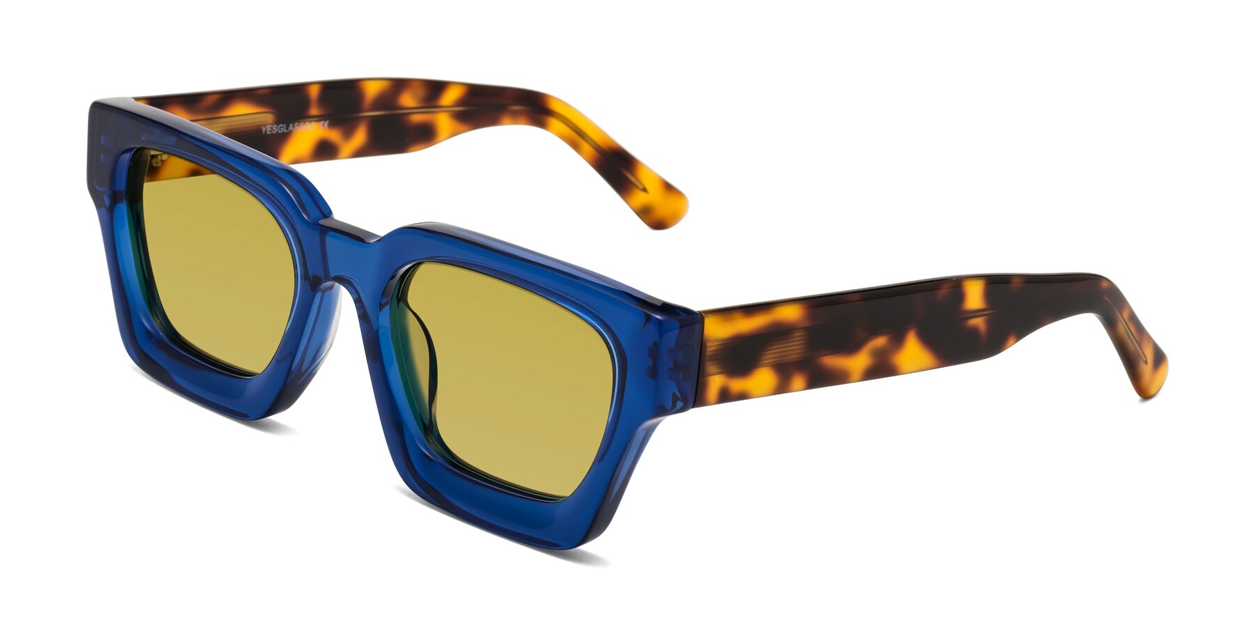 Angle of Powers in Blue-Tortoise with Champagne Tinted Lenses