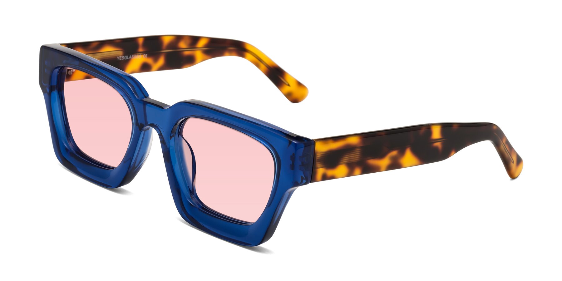 Angle of Powers in Blue-Tortoise with Light Garnet Tinted Lenses