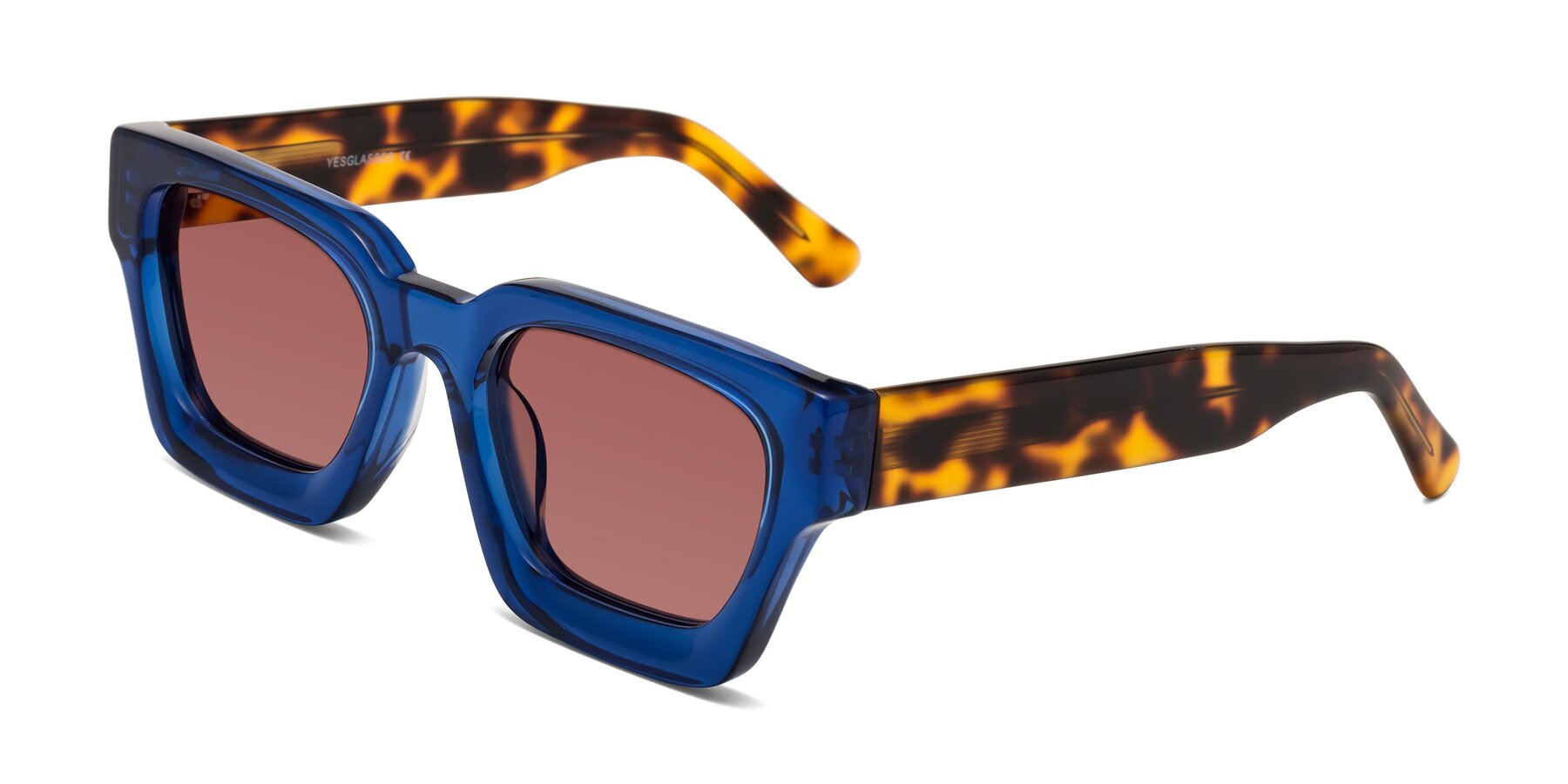 Angle of Powers in Blue-Tortoise with Garnet Tinted Lenses