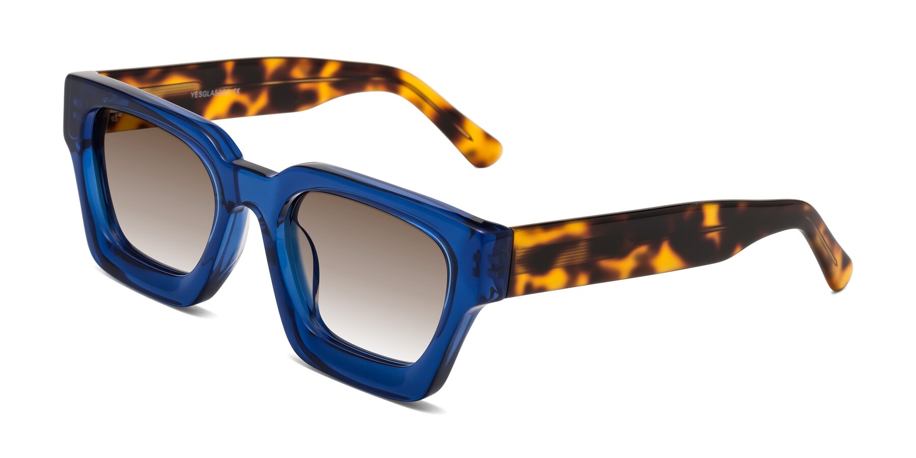 Angle of Powers in Blue-Tortoise with Brown Gradient Lenses