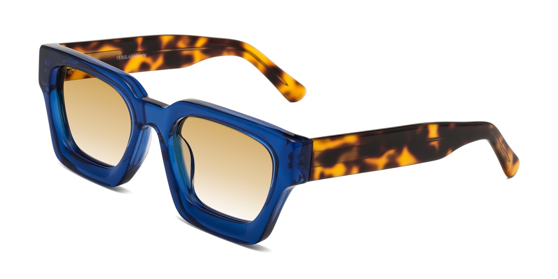 Angle of Powers in Blue-Tortoise with Champagne Gradient Lenses