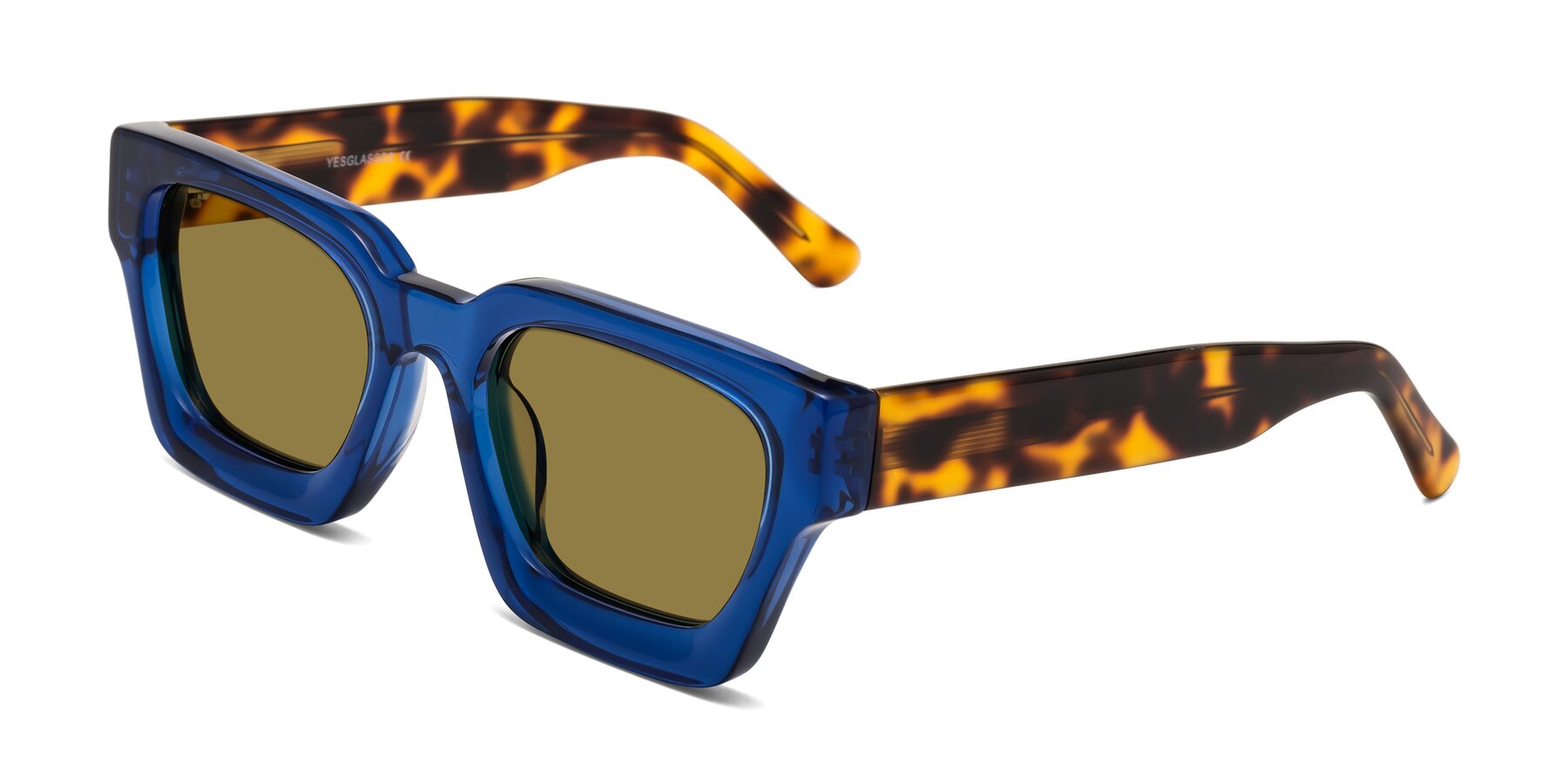 Angle of Powers in Blue-Tortoise with Brown Polarized Lenses