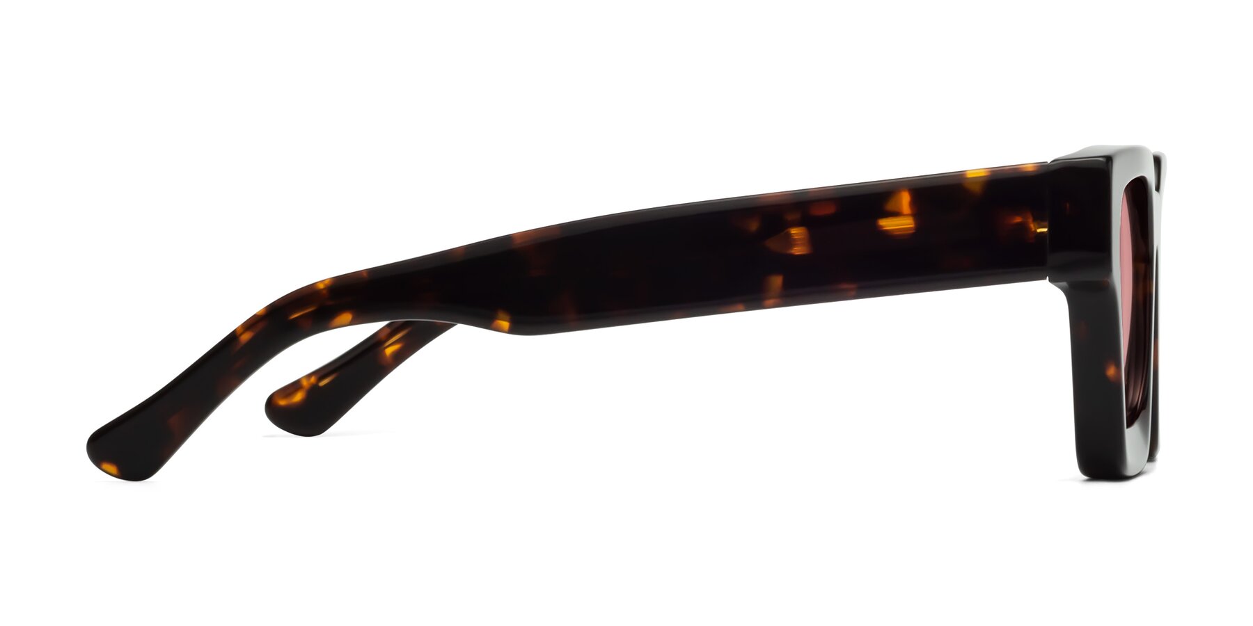 Side of Powers in Tortoise with Medium Garnet Tinted Lenses