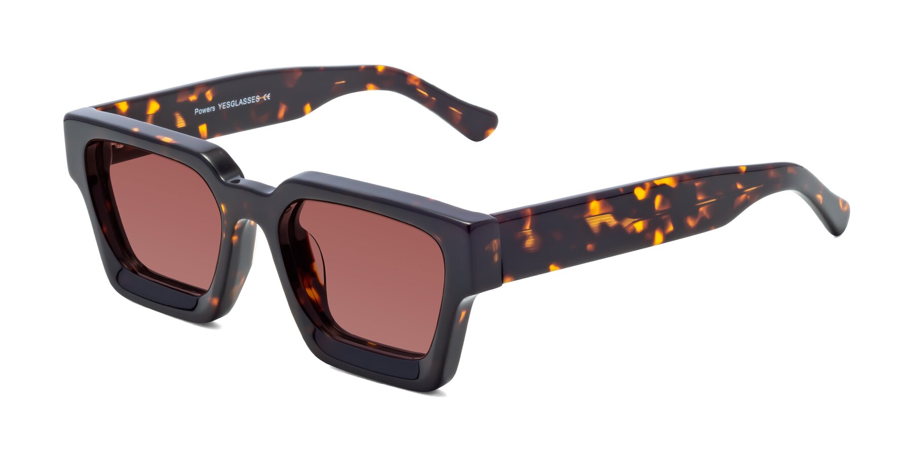 Angle of Powers in Tortoise with Garnet Tinted Lenses