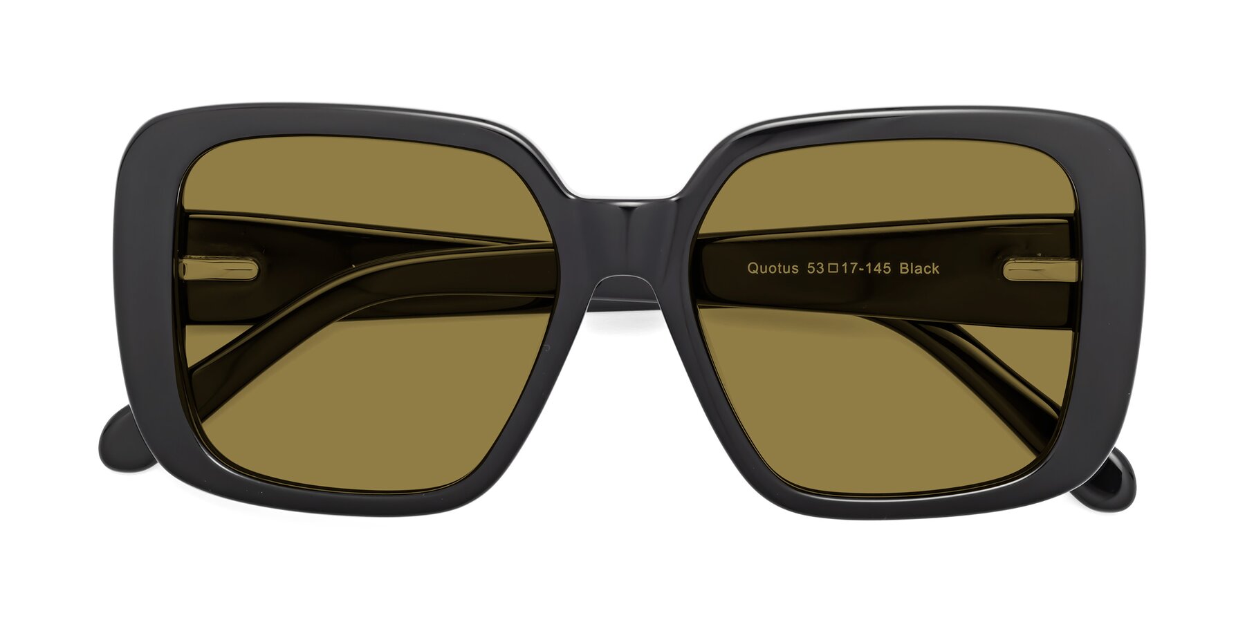Folded Front of Quotus in Black with Brown Polarized Lenses