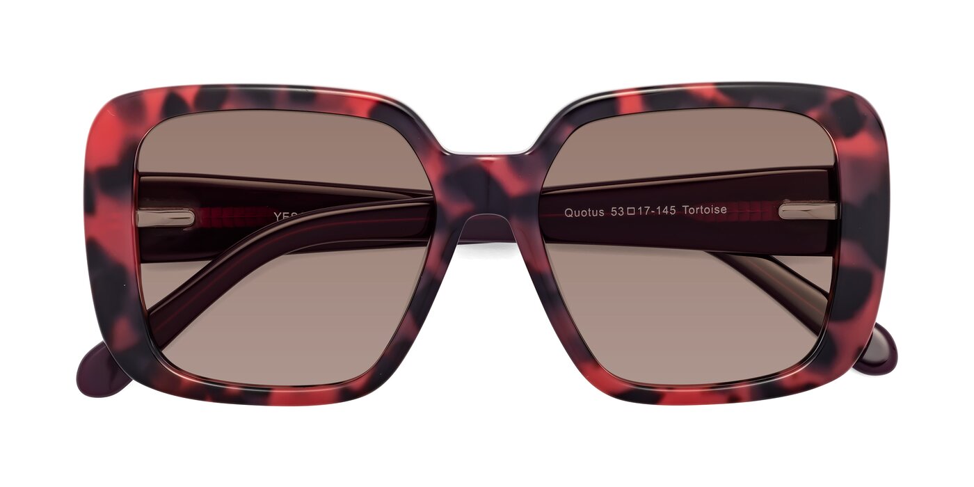 Quotus - Tortoise Tinted Sunglasses