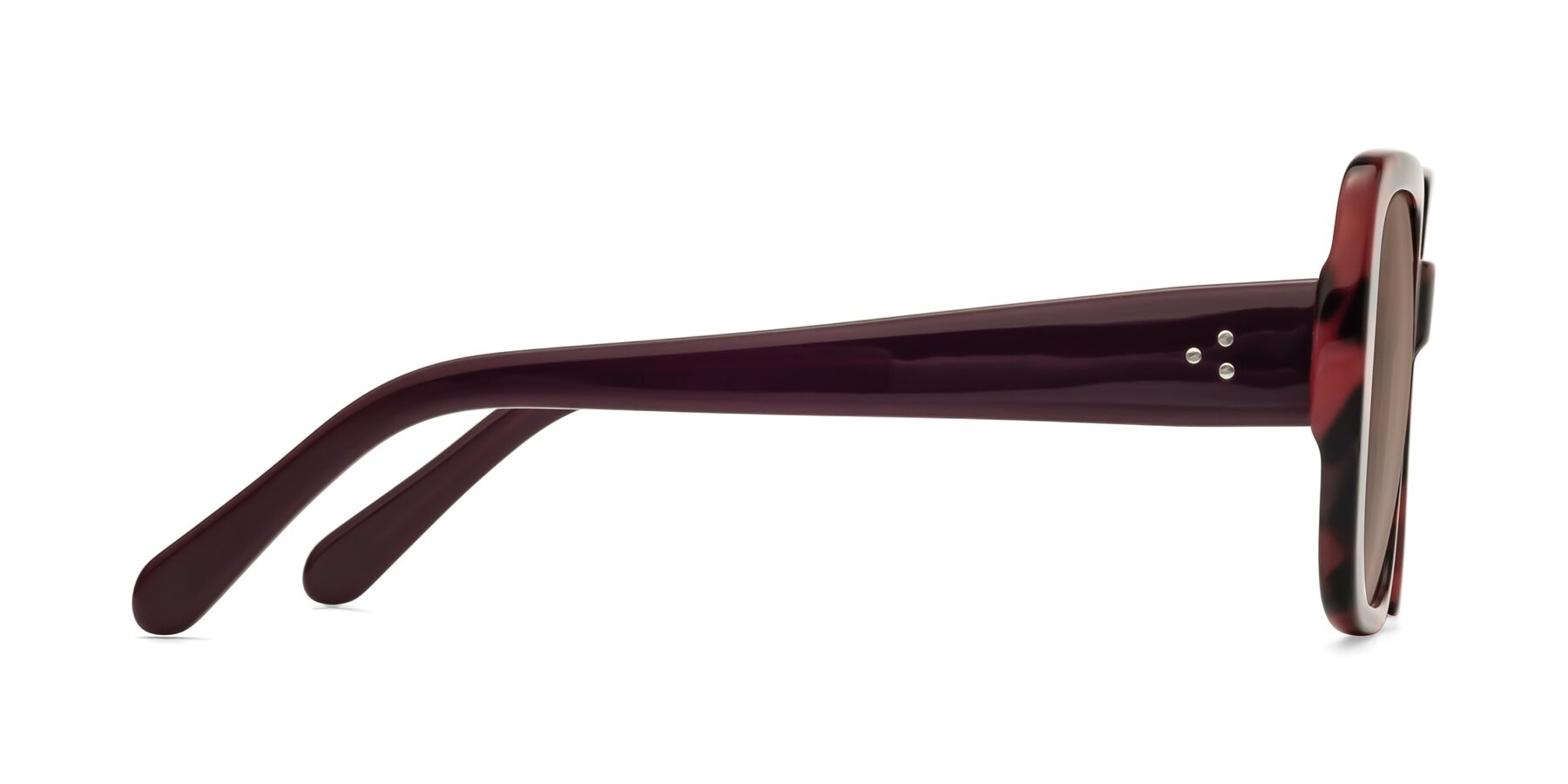 Side of Quotus in Tortoise with Medium Brown Tinted Lenses