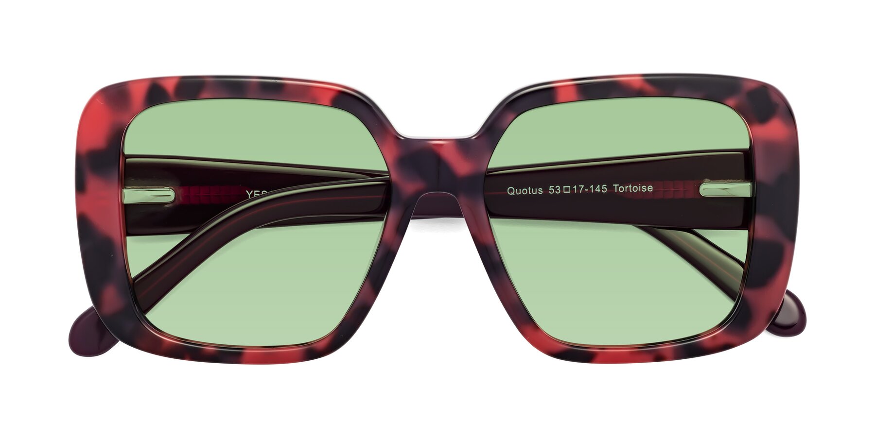 Folded Front of Quotus in Tortoise with Medium Green Tinted Lenses