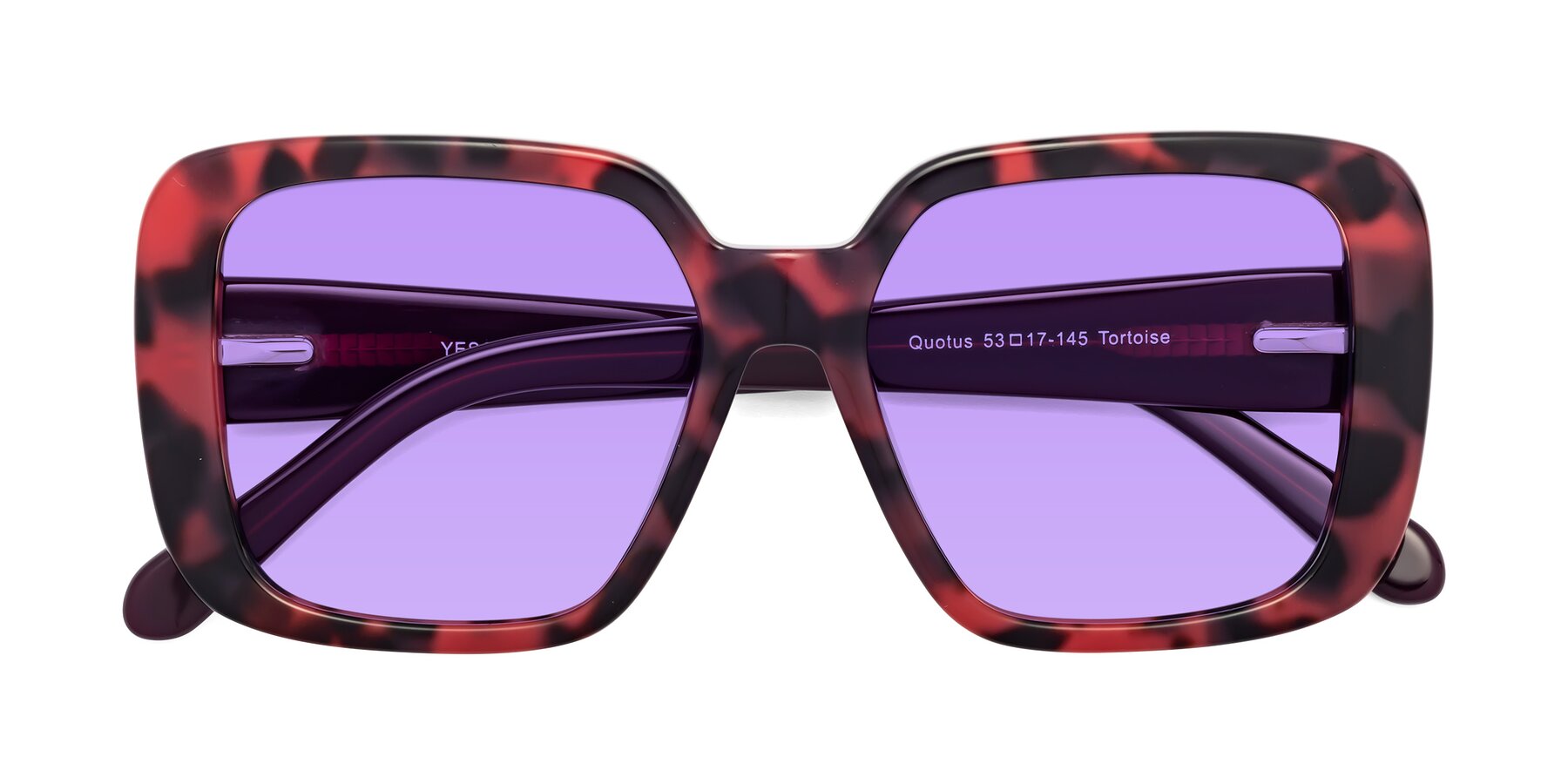 Folded Front of Quotus in Tortoise with Medium Purple Tinted Lenses