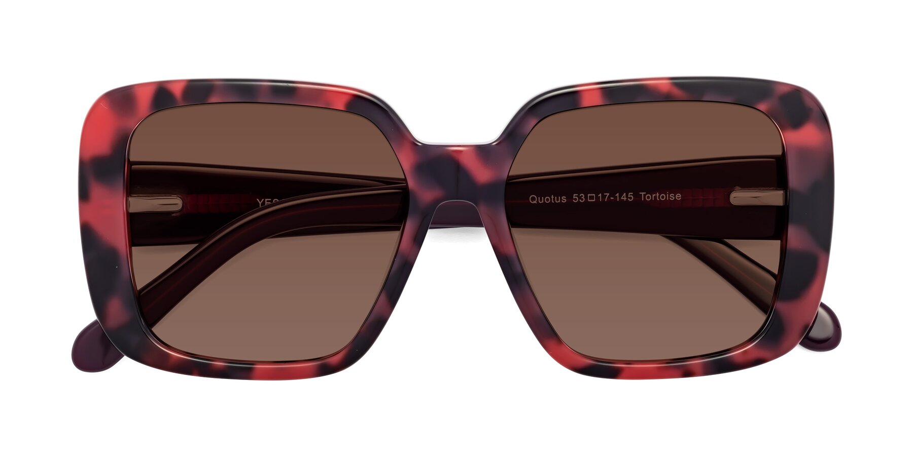 Folded Front of Quotus in Tortoise with Brown Tinted Lenses