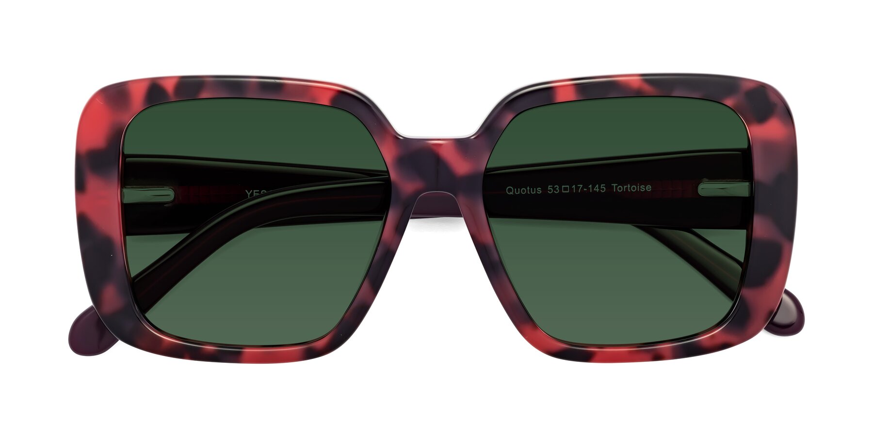 Folded Front of Quotus in Tortoise with Green Tinted Lenses