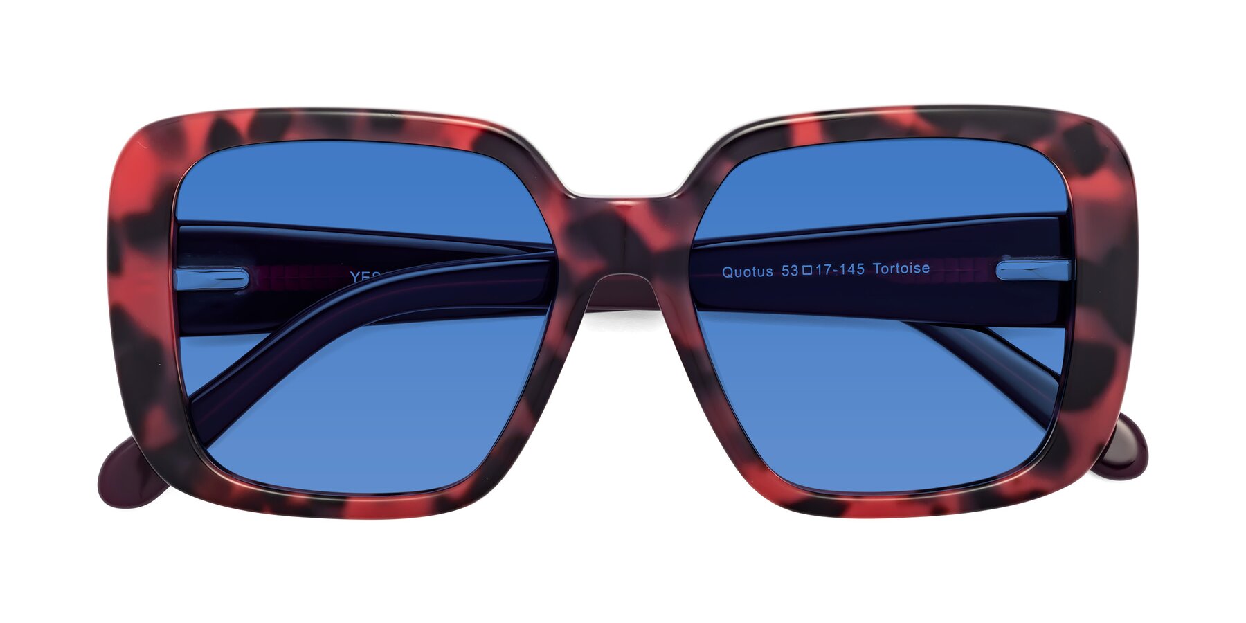 Folded Front of Quotus in Tortoise with Blue Tinted Lenses