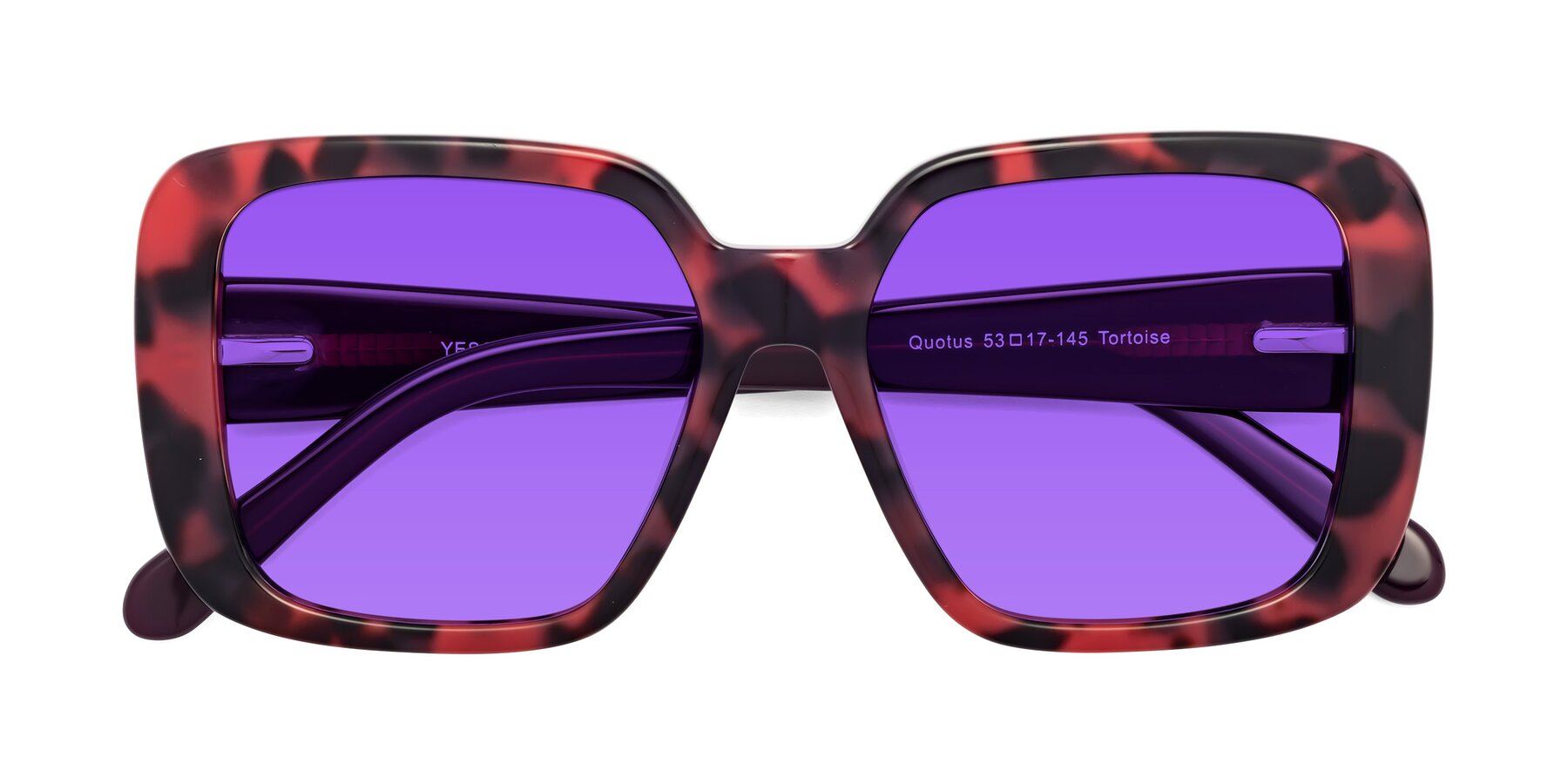 Folded Front of Quotus in Tortoise with Purple Tinted Lenses