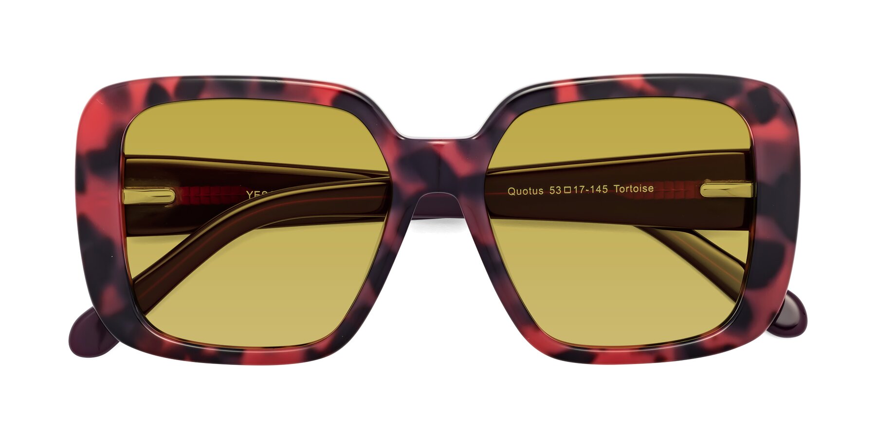 Folded Front of Quotus in Tortoise with Champagne Tinted Lenses
