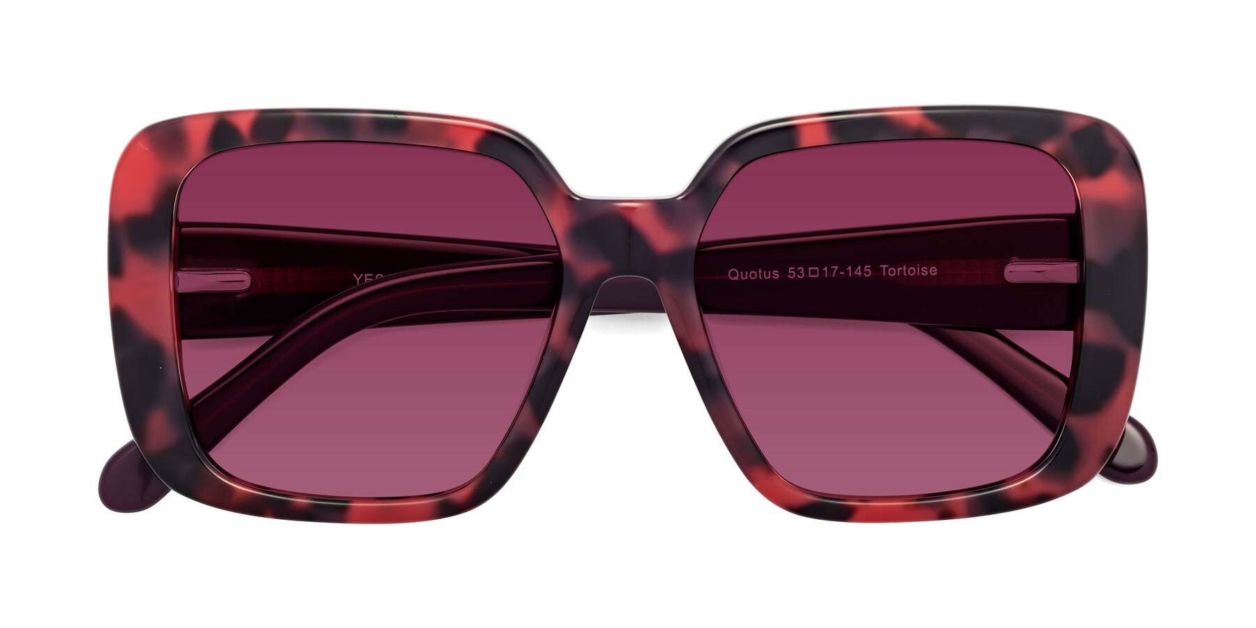 Folded Front of Quotus in Tortoise with Wine Tinted Lenses