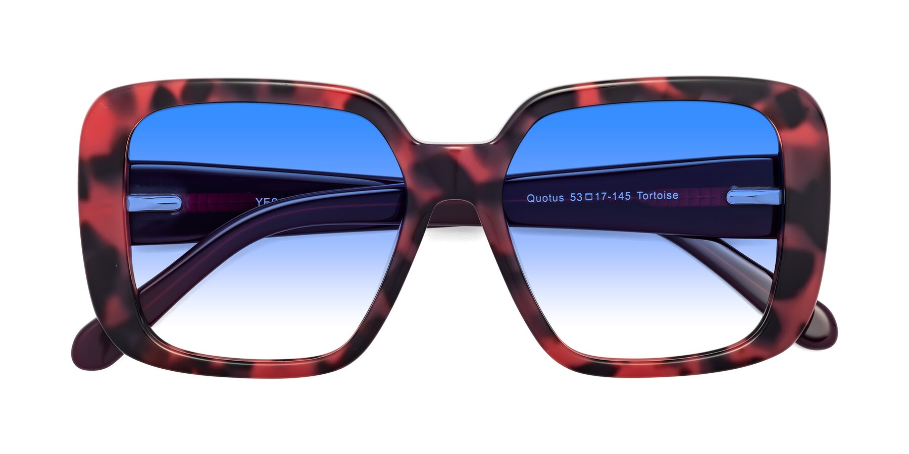 Folded Front of Quotus in Tortoise with Blue Gradient Lenses