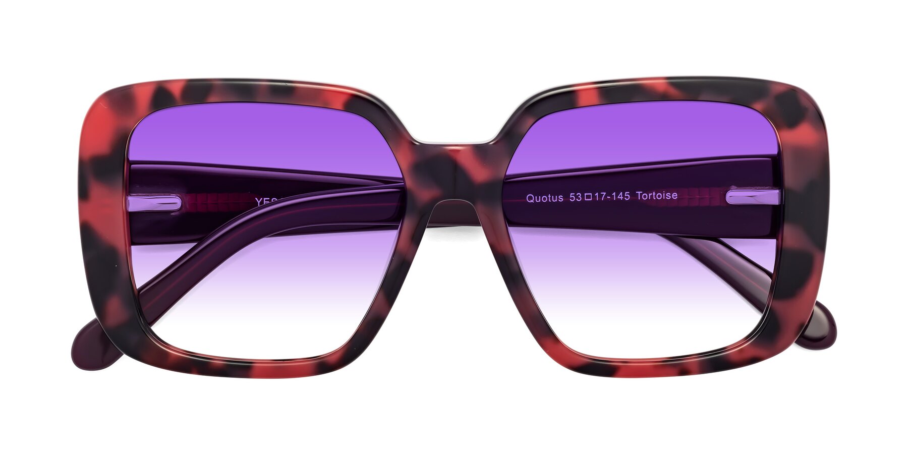Folded Front of Quotus in Tortoise with Purple Gradient Lenses