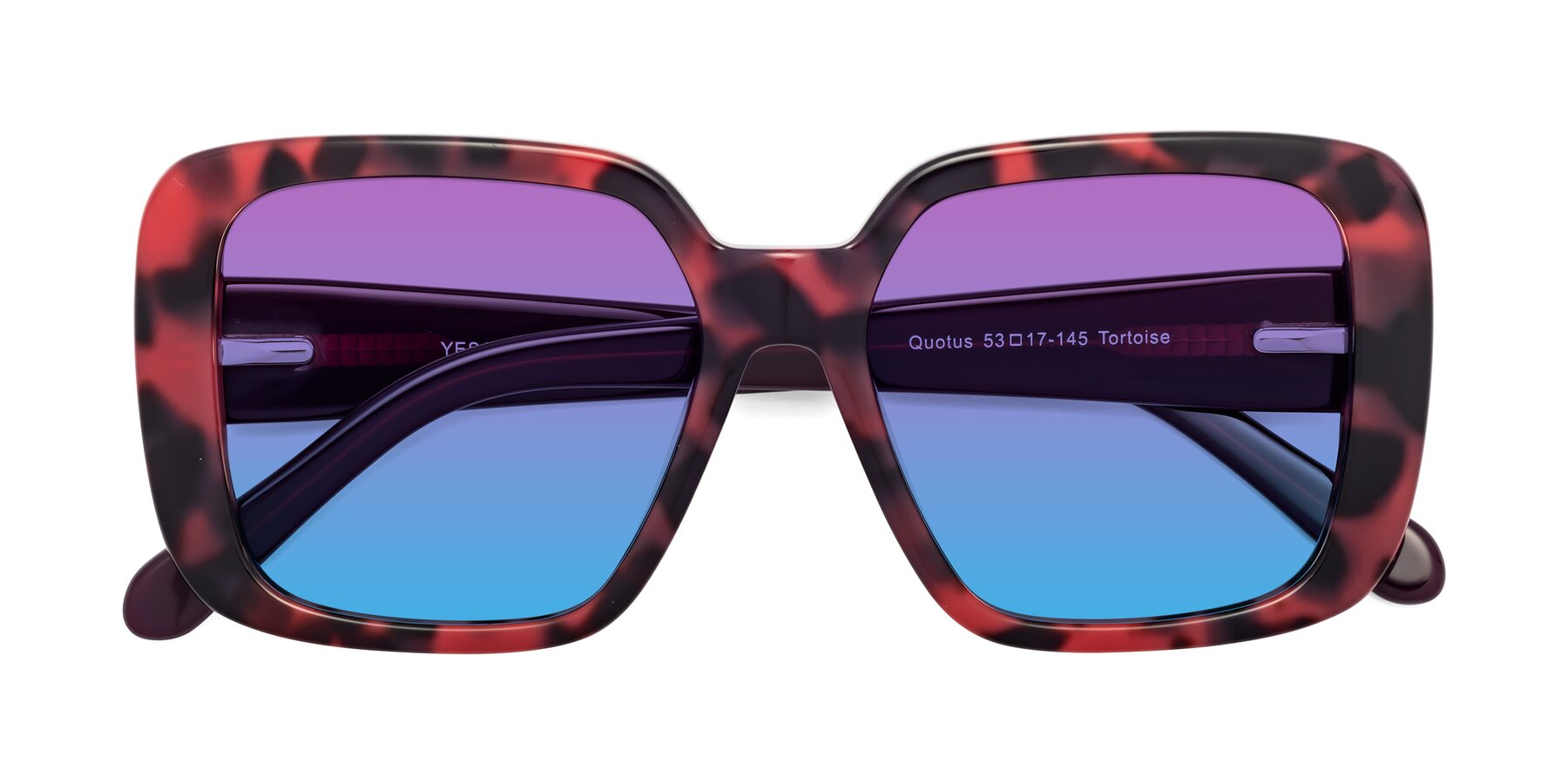 Folded Front of Quotus in Tortoise with Purple / Blue Gradient Lenses