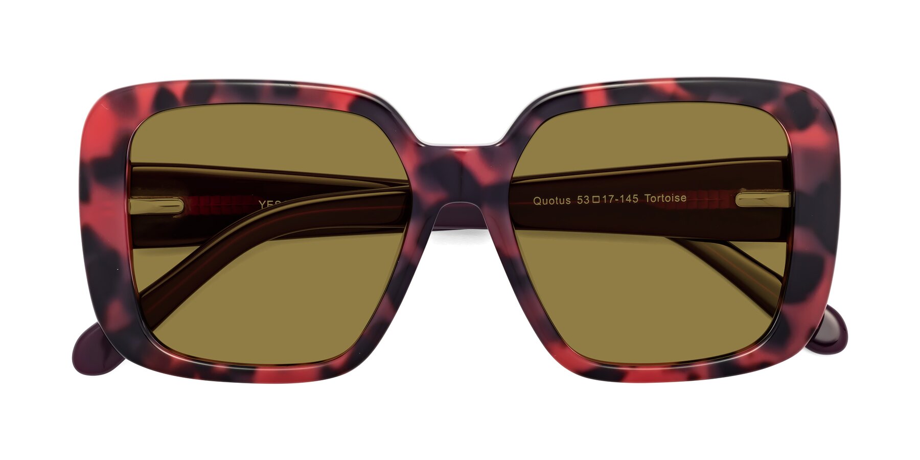 Folded Front of Quotus in Tortoise with Brown Polarized Lenses
