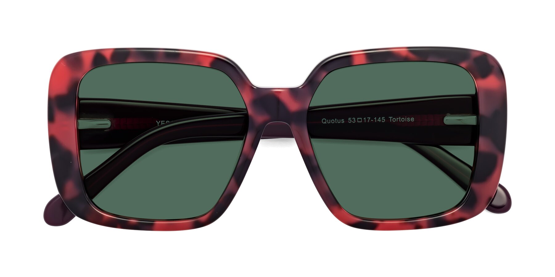 Folded Front of Quotus in Tortoise with Green Polarized Lenses