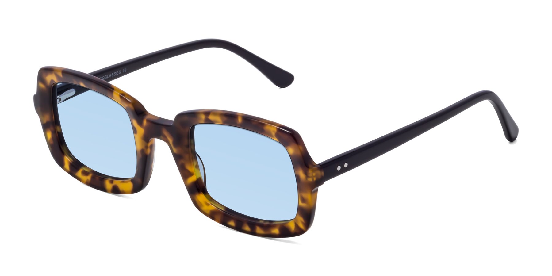 Angle of Font in Tortoise with Light Blue Tinted Lenses