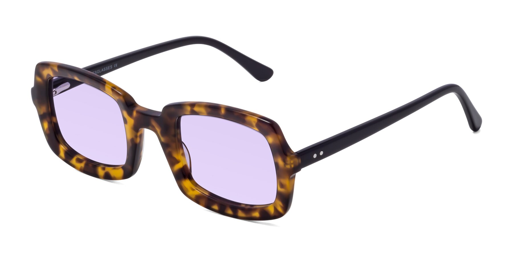 Angle of Font in Tortoise with Light Purple Tinted Lenses