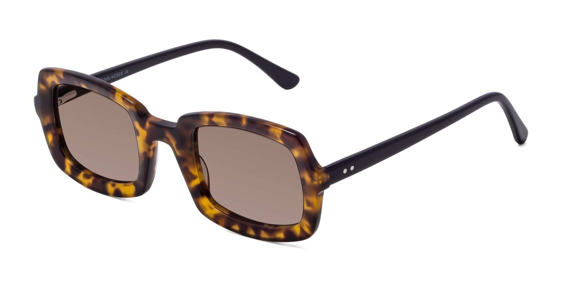 Angle of Font in Tortoise with Medium Brown Tinted Lenses