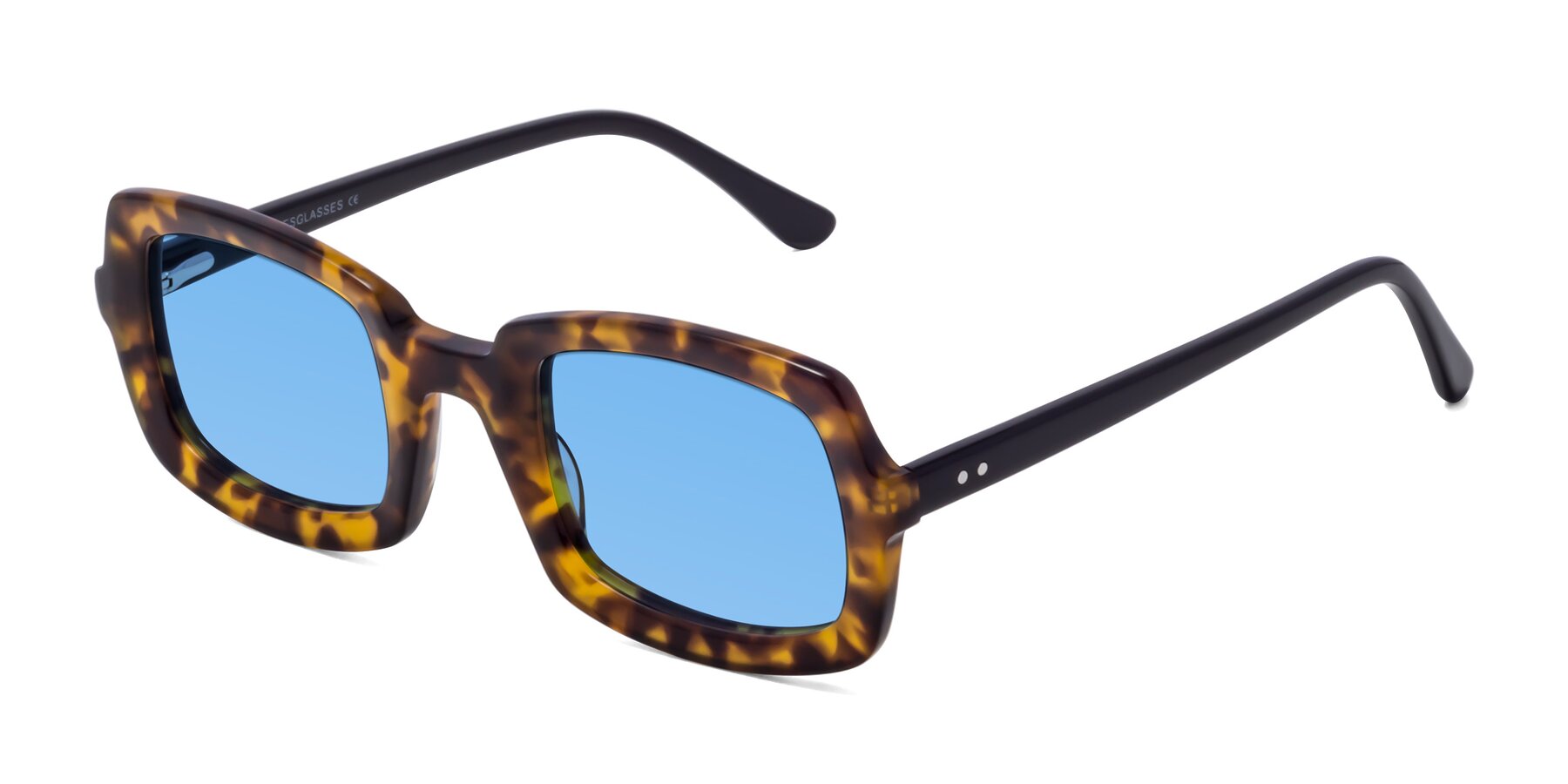 Angle of Font in Tortoise with Medium Blue Tinted Lenses