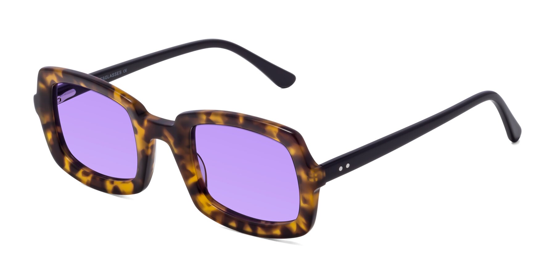 Angle of Font in Tortoise with Medium Purple Tinted Lenses
