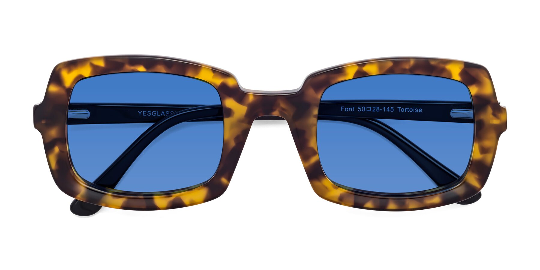 Folded Front of Font in Tortoise with Blue Tinted Lenses