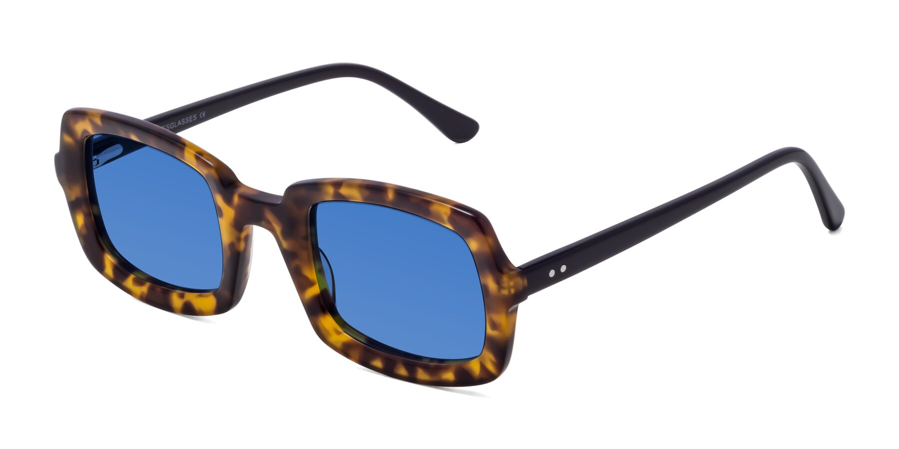 Angle of Font in Tortoise with Blue Tinted Lenses