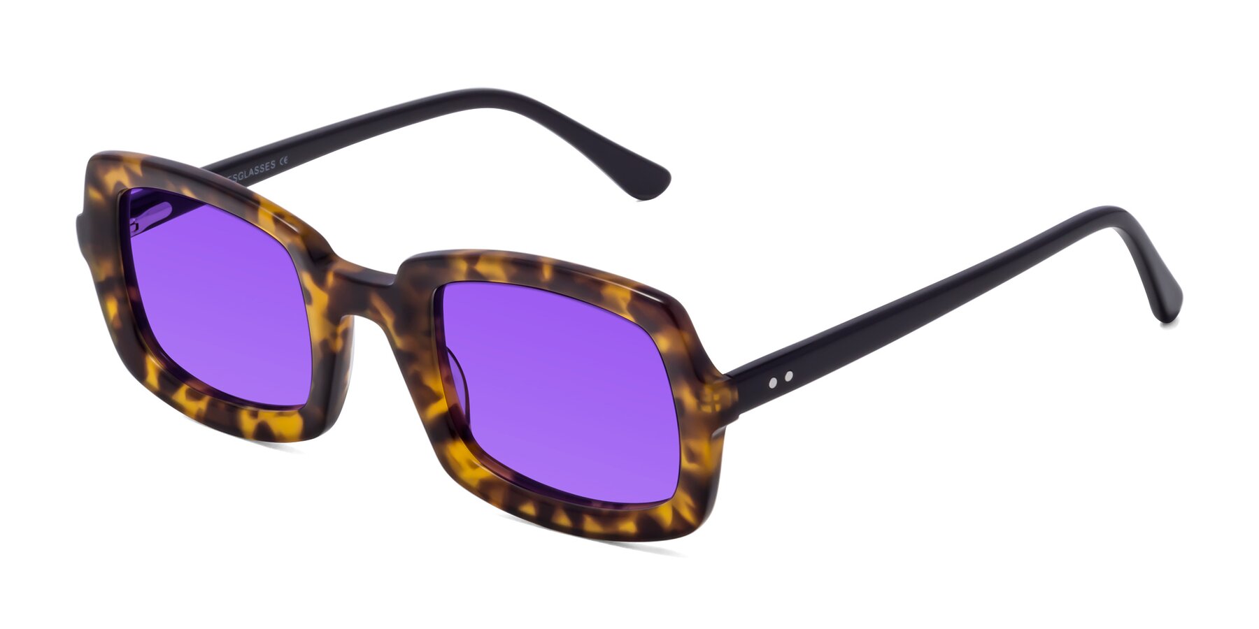Angle of Font in Tortoise with Purple Tinted Lenses