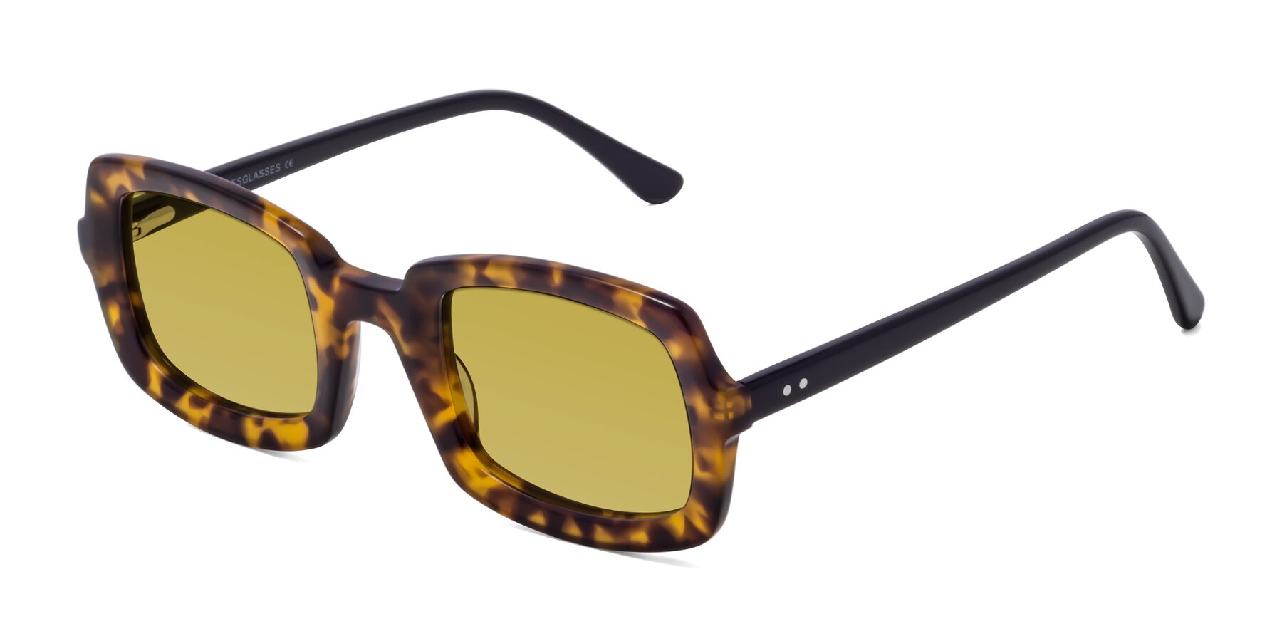 Angle of Font in Tortoise with Champagne Tinted Lenses