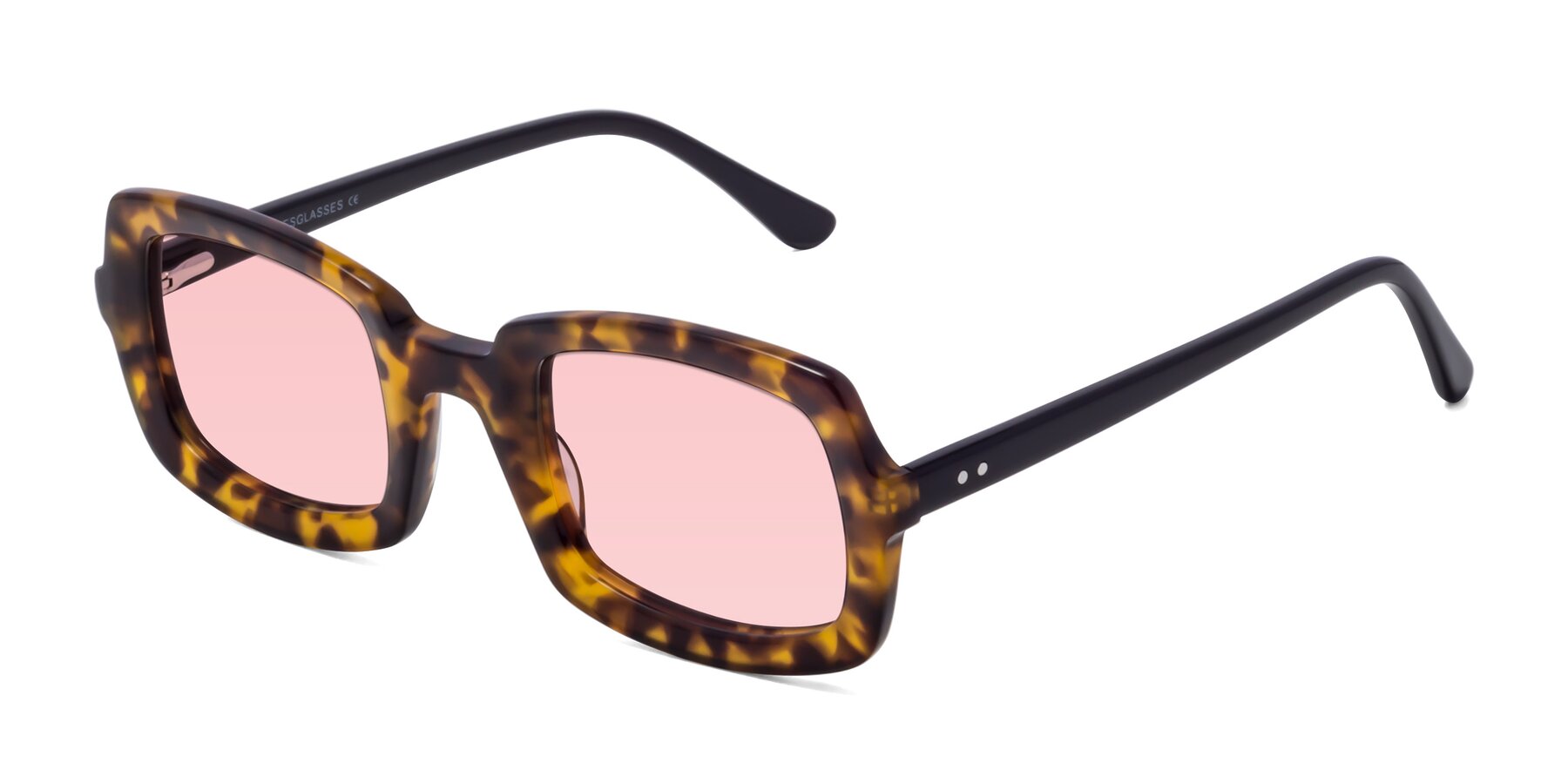 Angle of Font in Tortoise with Light Garnet Tinted Lenses