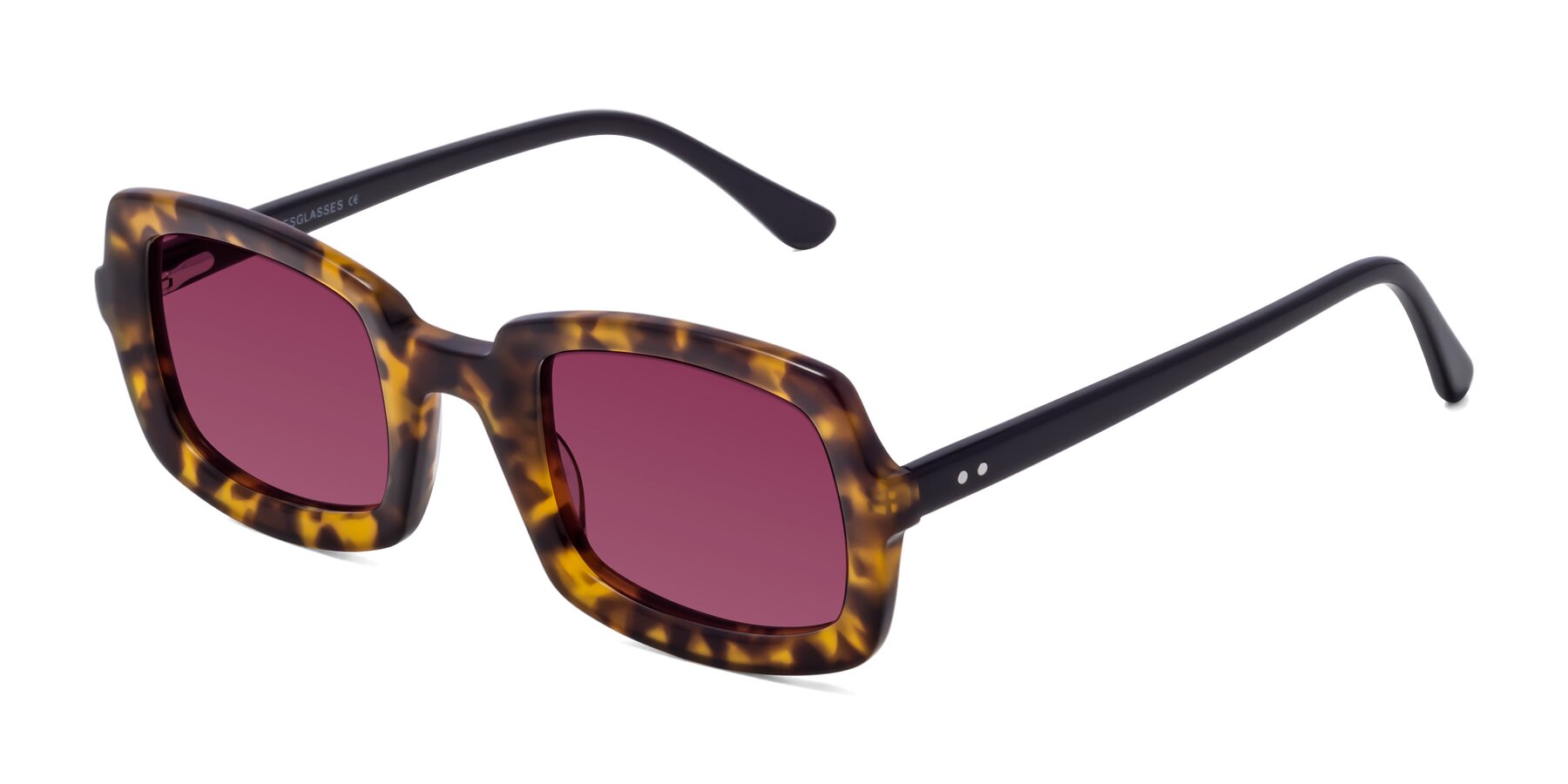 Angle of Font in Tortoise with Wine Tinted Lenses