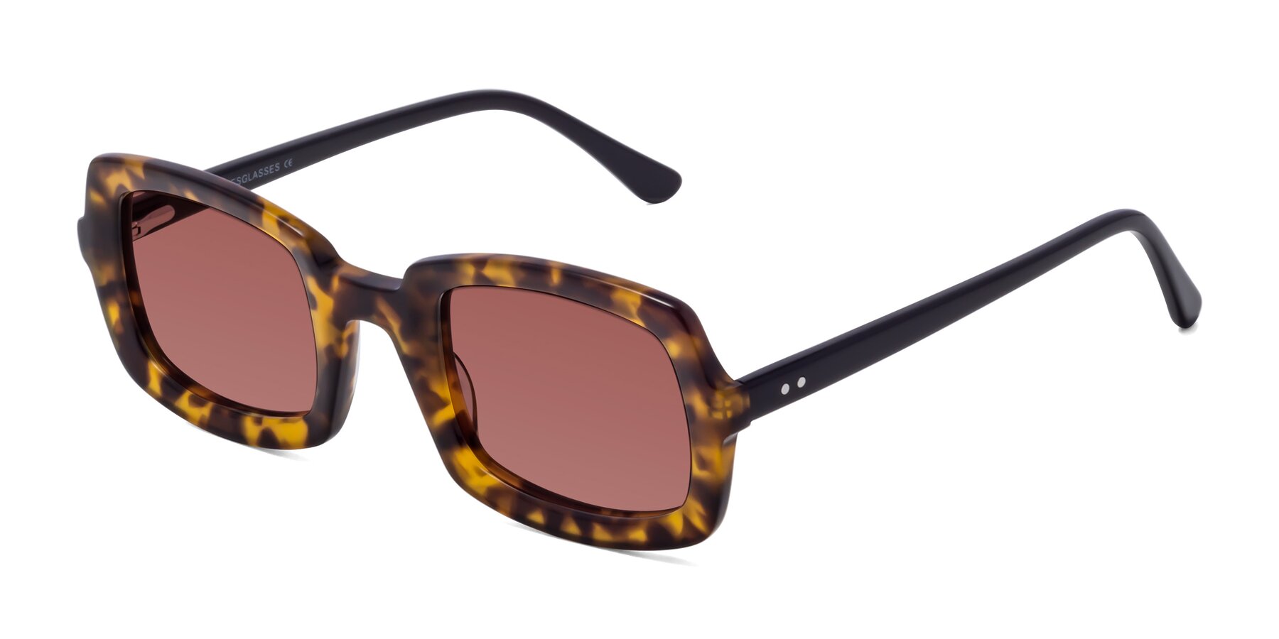 Angle of Font in Tortoise with Garnet Tinted Lenses