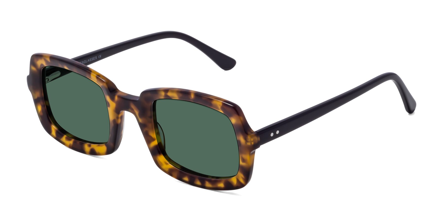 Angle of Font in Tortoise with Green Polarized Lenses