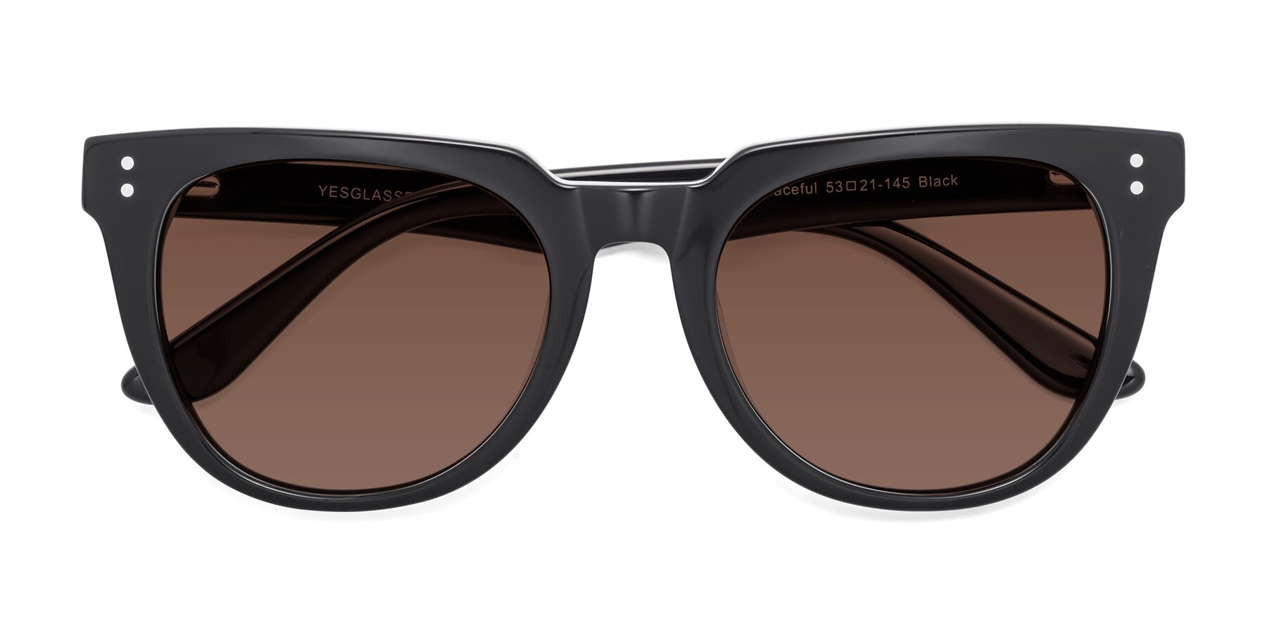 Folded Front of Graceful in Black with Brown Tinted Lenses