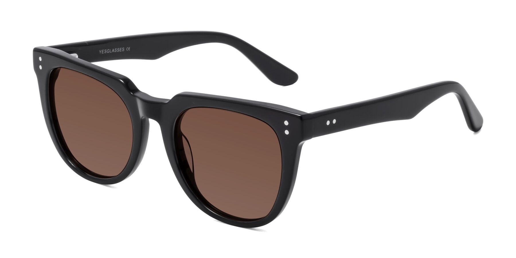 Angle of Graceful in Black with Brown Tinted Lenses