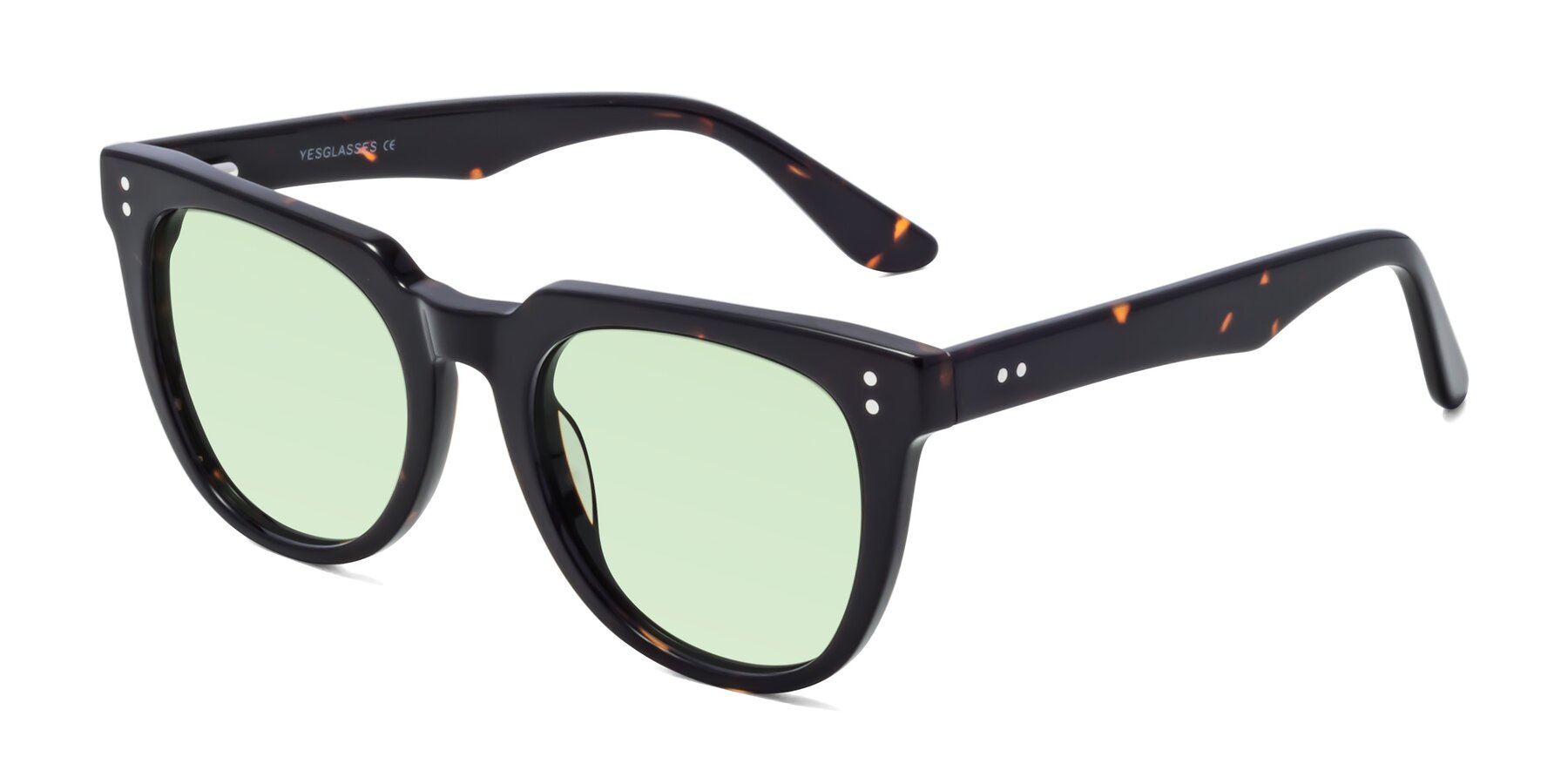 Angle of Graceful in Tortoise with Light Green Tinted Lenses