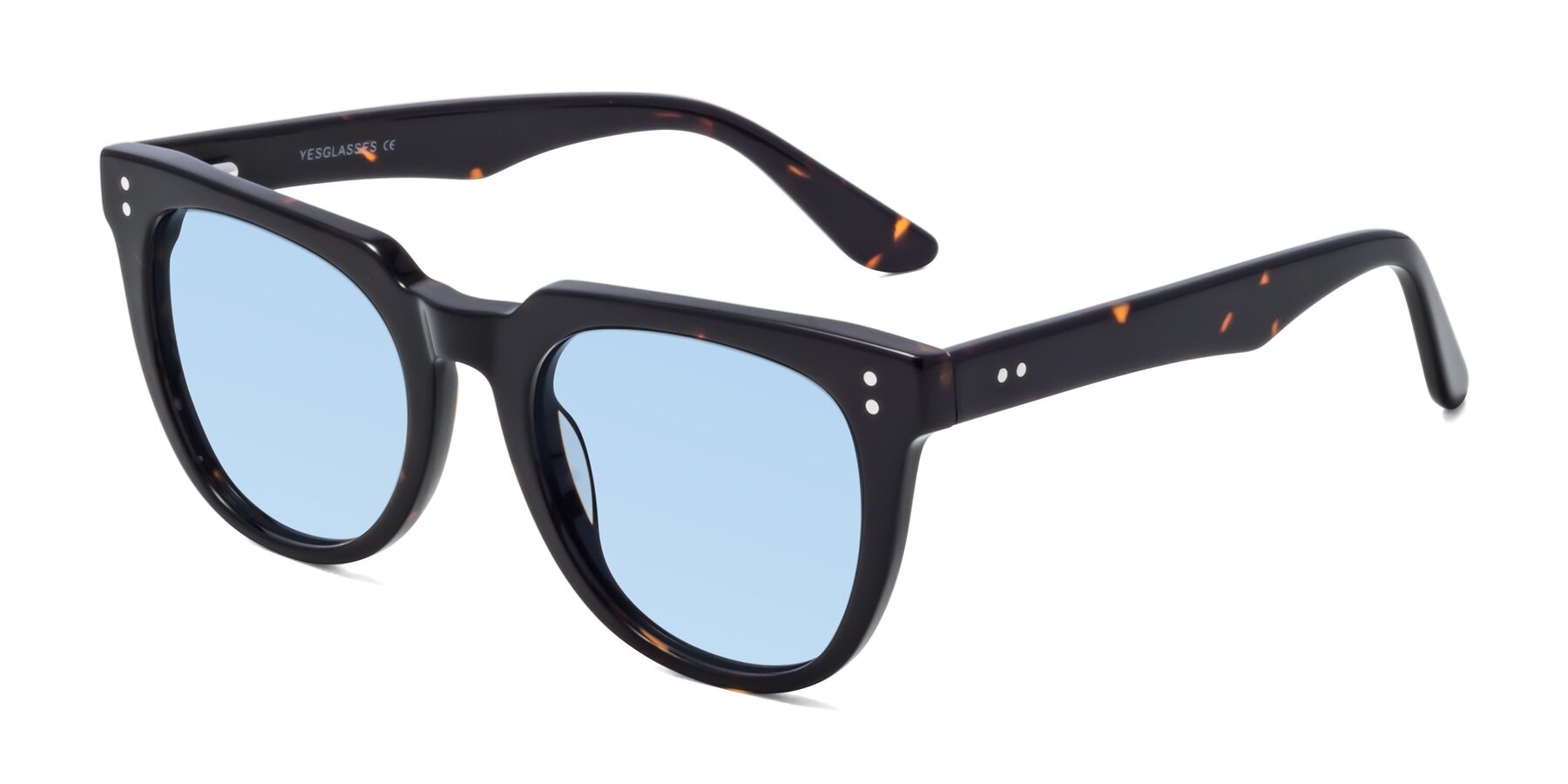Angle of Graceful in Tortoise with Light Blue Tinted Lenses