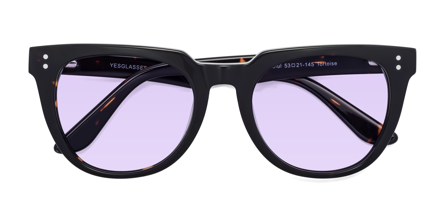 Folded Front of Graceful in Tortoise with Light Purple Tinted Lenses