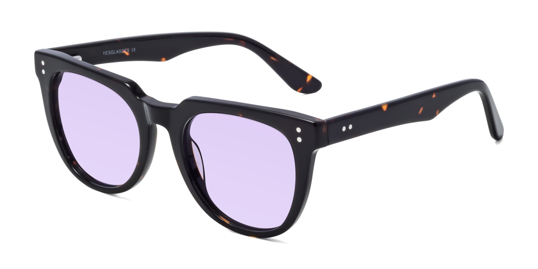 Angle of Graceful in Tortoise with Light Purple Tinted Lenses