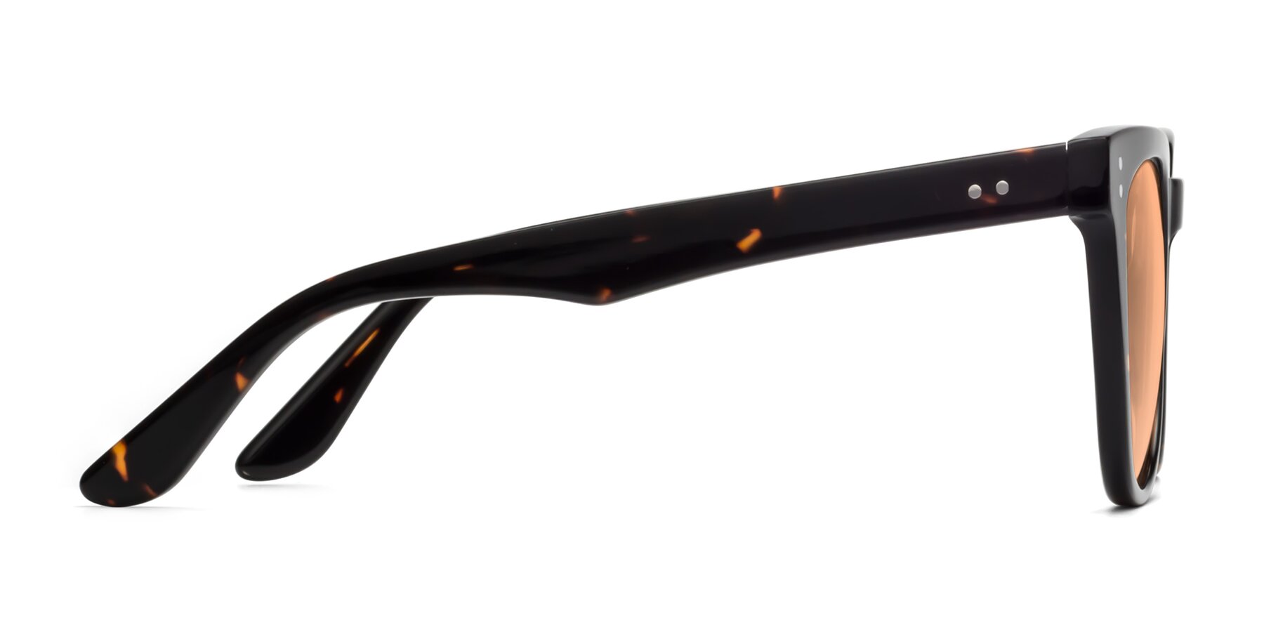 Side of Graceful in Tortoise with Light Orange Tinted Lenses