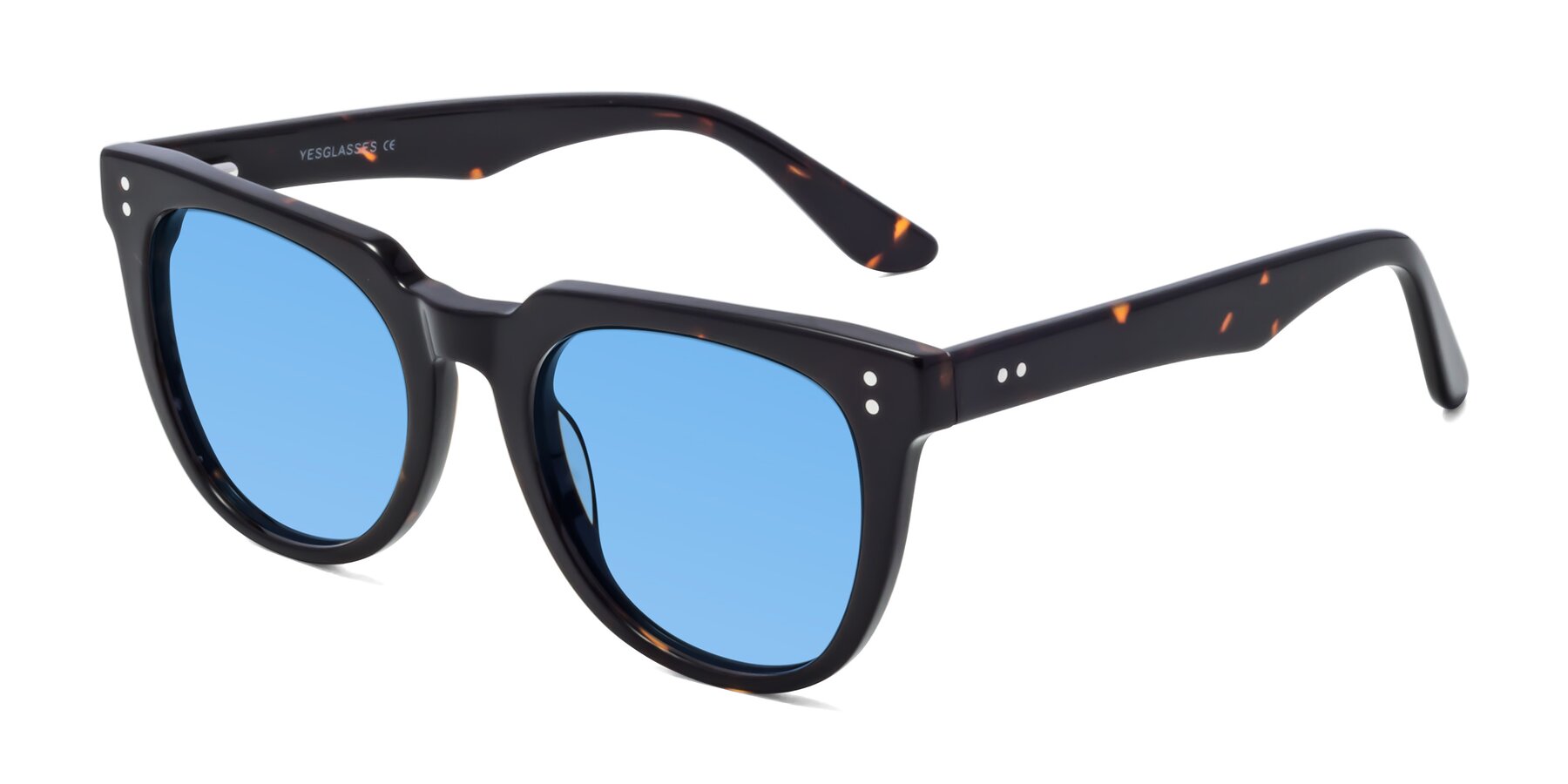 Angle of Graceful in Tortoise with Medium Blue Tinted Lenses
