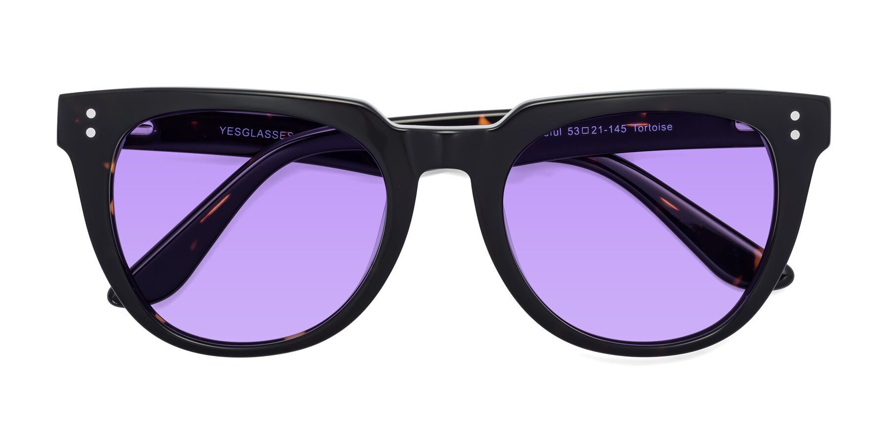 Folded Front of Graceful in Tortoise with Medium Purple Tinted Lenses