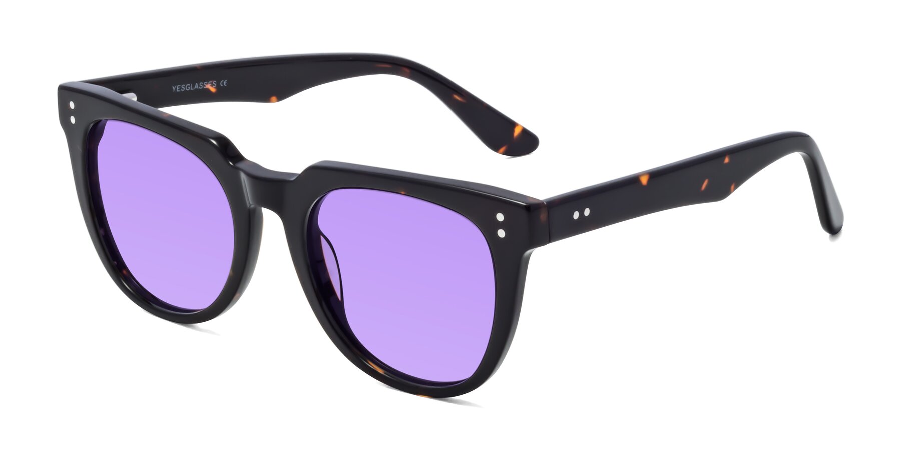 Angle of Graceful in Tortoise with Medium Purple Tinted Lenses
