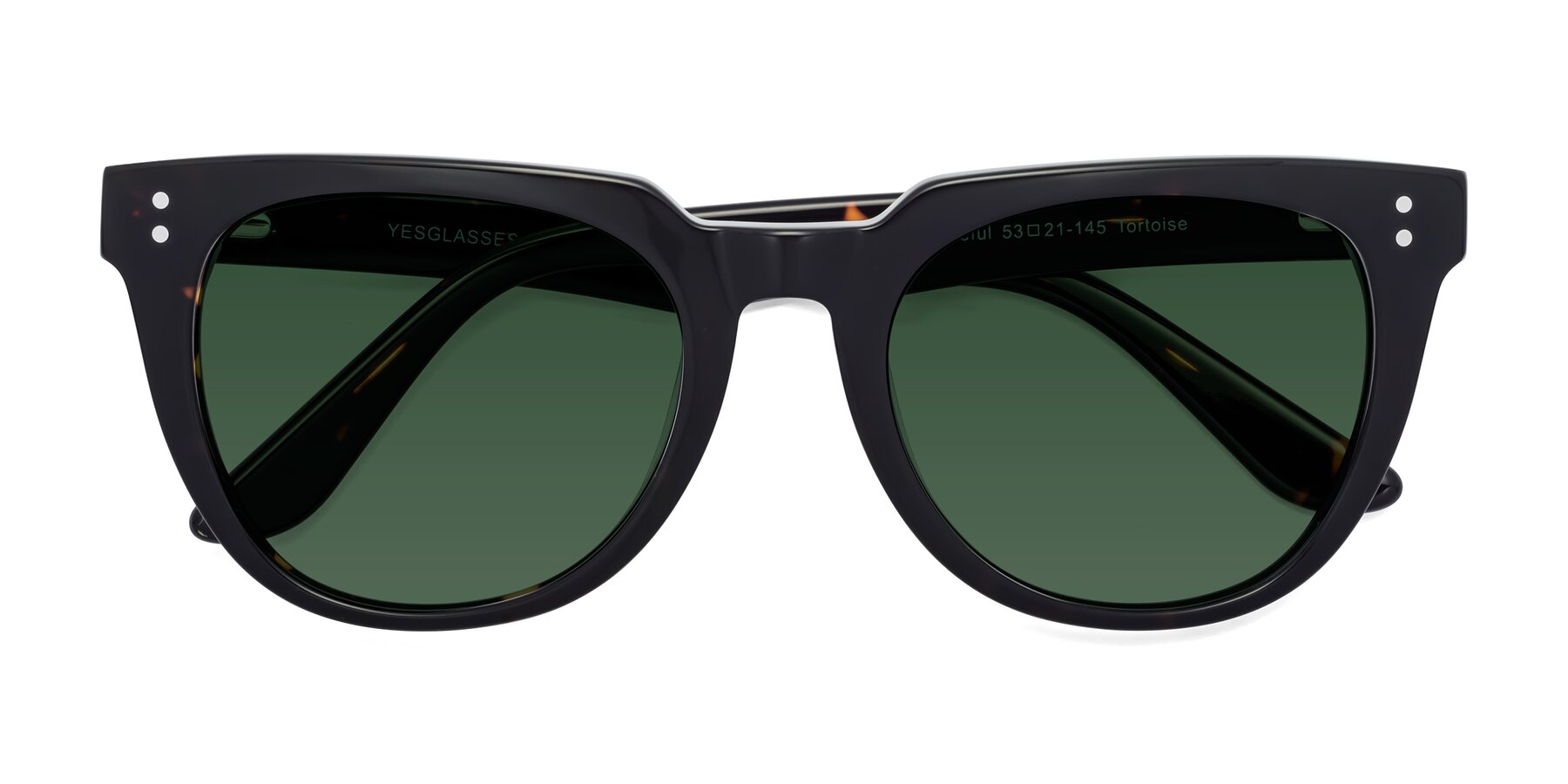 Folded Front of Graceful in Tortoise with Green Tinted Lenses