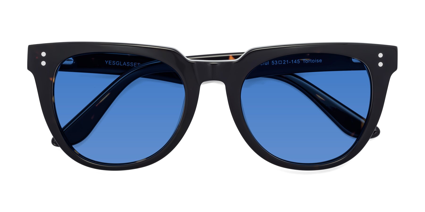 Folded Front of Graceful in Tortoise with Blue Tinted Lenses